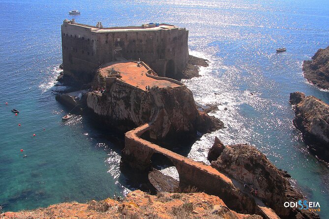 Berlengas Catamaran Tour - Reviews