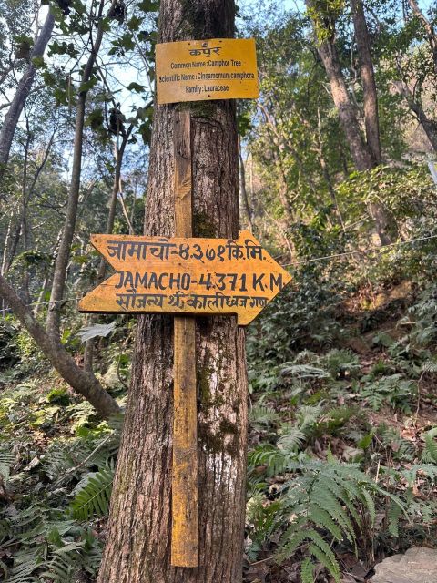 Best 1 Day Hiking Near Kathmandu: Nagarjun Jamacho Hike - Experience Description