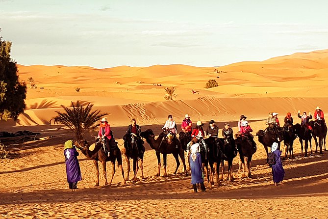 Best Casablanca Desert Trips - Inclusive Amenities