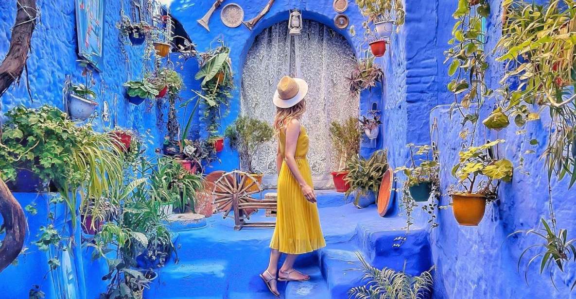 Best Chefchaouen Day Tour From Fez - Inclusions and Services