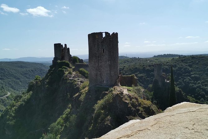 Best of Cathar Country: Full-Day Private Tour. - Customer Testimonials