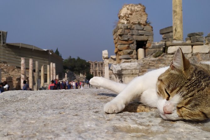 Best of Ephesus Tour From Kusadasi: Temple of Artemis, St John Basilica, Isa Bey Mosque - Customer Reviews Overview