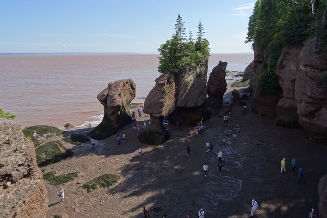 Best of Hopewell Rocks & Fundy National Park From Moncton - Local Cuisine and Dining Recommendations