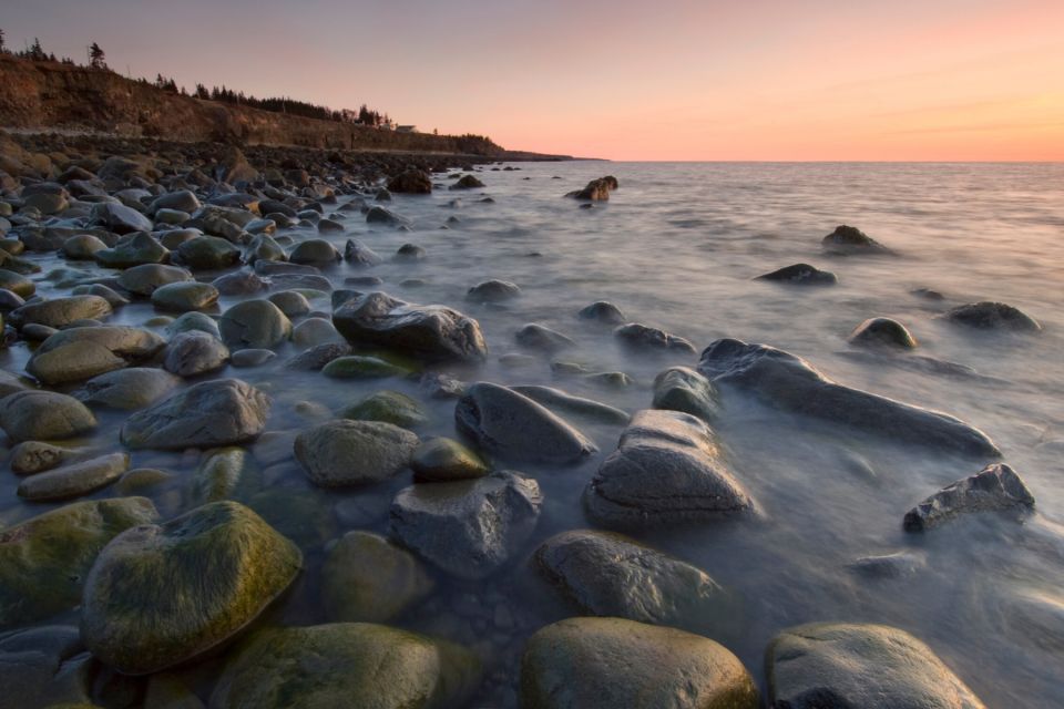 Best of Hopewell Rocks & Fundy National Park From Moncton - Tour Highlights