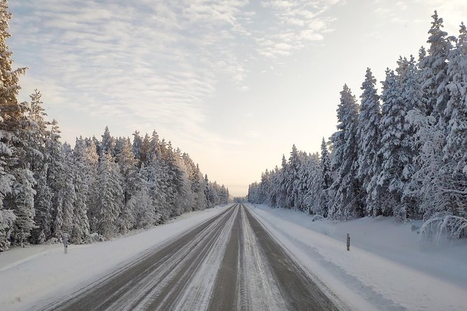 Best of Lapland: Sauna, Ice Swimming, Dinner & Northern Lights - Chasing the Northern Lights