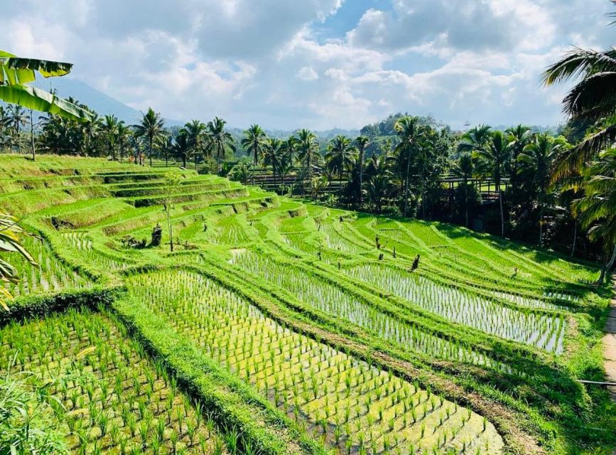 Best of Tanah Lot: All-Inclusive Tour With Optional Lunch - Full Tour Description