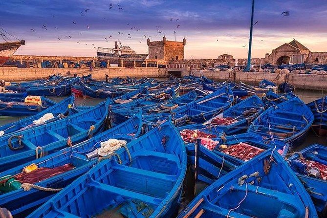 Best Shared Day Trip to Essaouira From Marrakech - Logistics and Itinerary