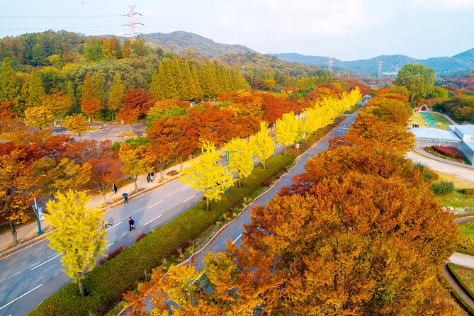 Best View Seoul Autumn Foliage Tour - Transportation Options