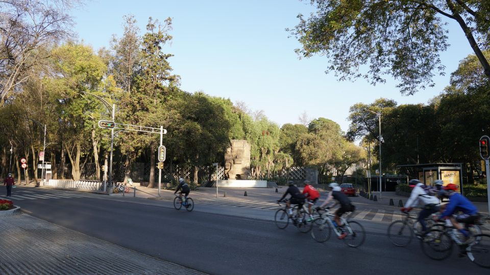 Bicycle Tour - Must-See Places in Mexico City - Neighborhood 2: Roma-Condesa