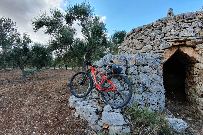 Bike Tour in the Alta Murgia National Park (Pulo of Altamura) - Safety Guidelines