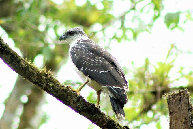 Bird Watching Tours With Sandra Plúa - Manabi, Ecuador - Reservation and Cancellation