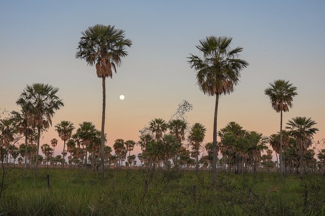 Birding and Nature Chaco Tour - Contact and Support