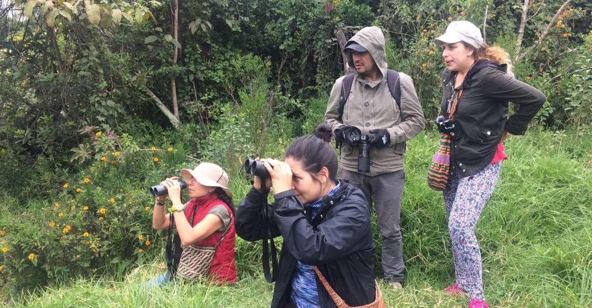 Birdwatching Day Tour at Chicaque Natural Park - Itinerary and Activities