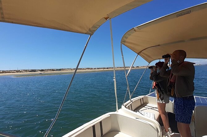 Birdwatching in Ria Formosa - Eco Boat Tour From Faro - Tour Visuals