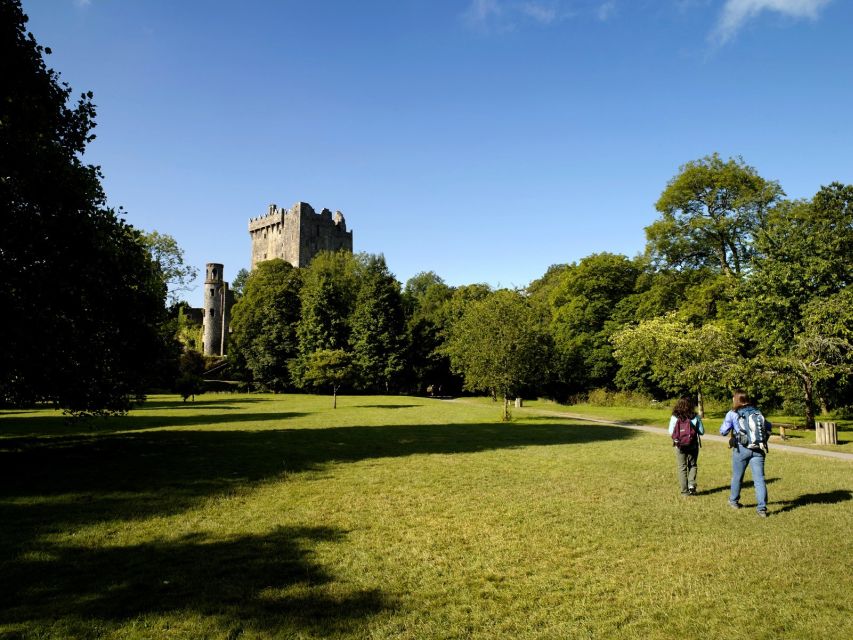 Blarney Castle Full-Day Tour From Dublin - Review Ratings