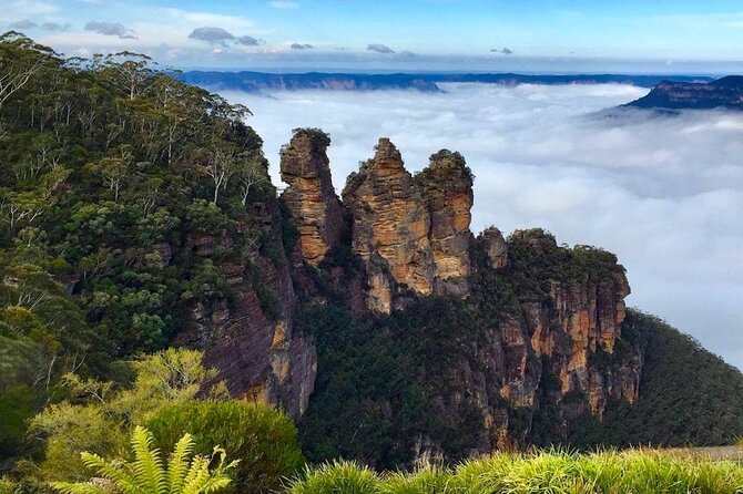 Blue Mountains Private Hiking Tour From Sydney - Scenic Hiking Trails