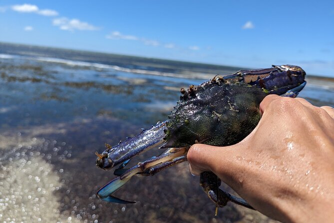 Blue Swimmer Crab Catch and Dine (At the Restaurant) - Enjoying the Freshly Cooked Crabs