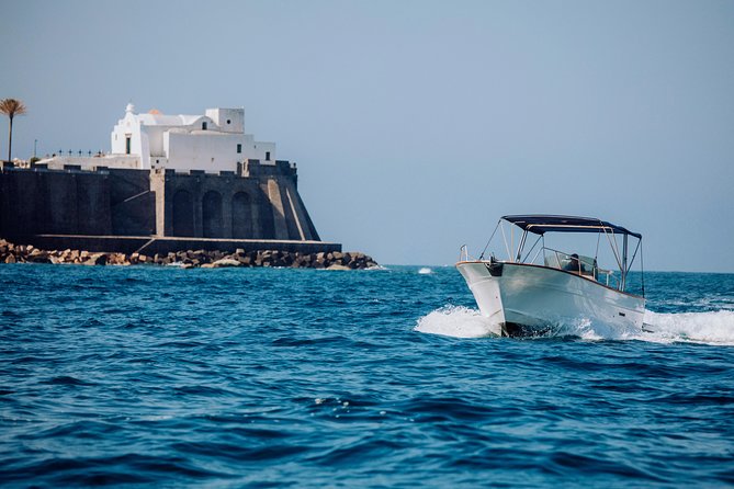 Boat Tour of the Island of Ischia With a 7.50-Meter Boat - Logistics and Operations
