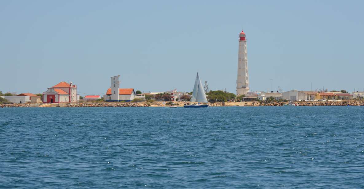 Boat Trip Through the Ria Formosa Natural Park and Islands - Highlights and Activities