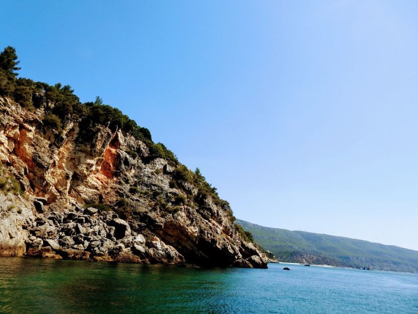 Boat Trip to the Caves Sesimbra - Animal Sightings