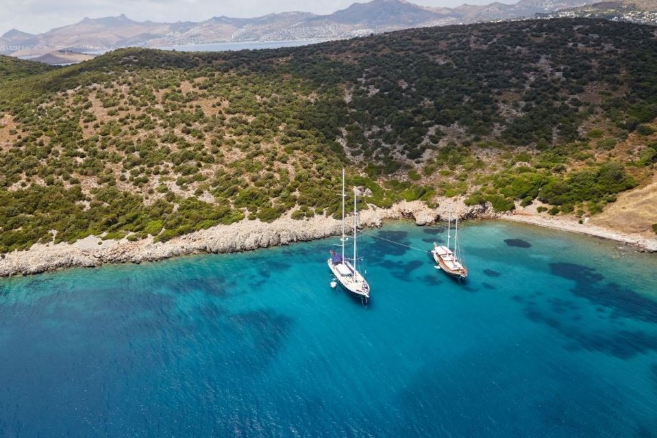 Bodrum Orak Island Boat Trip - Logistics and Requirements