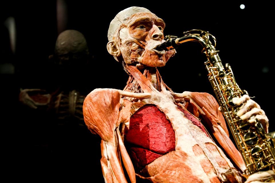 Body Worlds Amsterdam: The Happiness Project Ticket - Review Summary