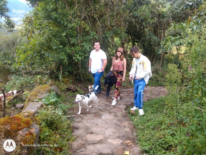 Bogota: La Chorrera Waterfall Private Hike - Review Summary