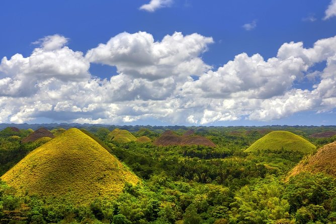 Bohol Countryside Day Tour From Cebu City Lunch at Loboc River Cruise - Lunch at Loboc River Cruise