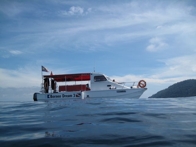 Borneo Full Day Try Dive (2 Dives) for Beginners - Inclusions in the Package