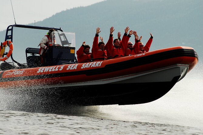 Bowen Explorer Sea Safari Tour - Meeting and Pickup Information