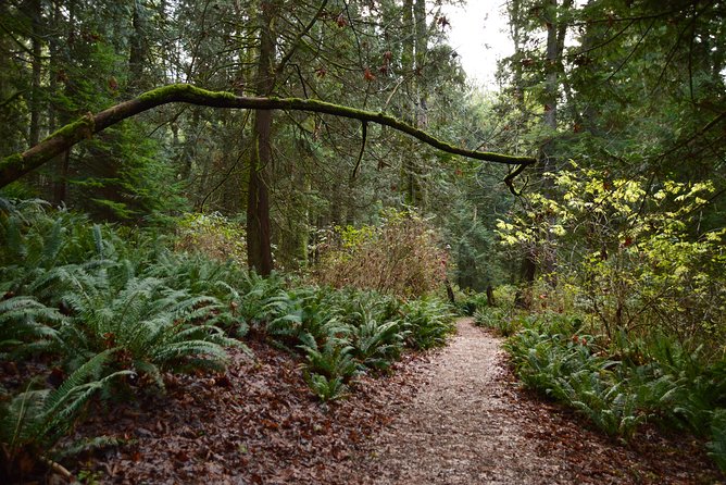 Bowen Island Ferry, Hike & Photography - Important Tour Information