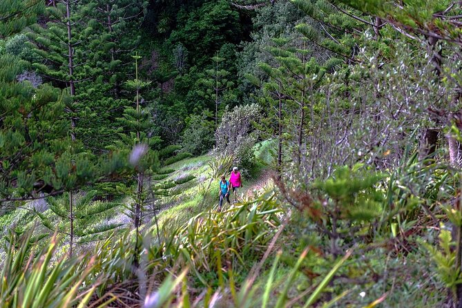 Breakfast Bushwalk in Norfolk Island - Cancellation Policy