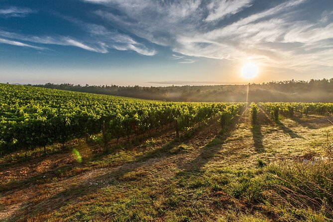 Brescia and Franciacorta Winery Area. Cultural and Wine Tasting Small Group Tour - Logistics and Itinerary