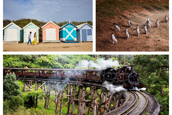 Brighton Bath Boxes, Puffing Billy, and Penguin Parade in Chinese - Tour Details and Inclusions