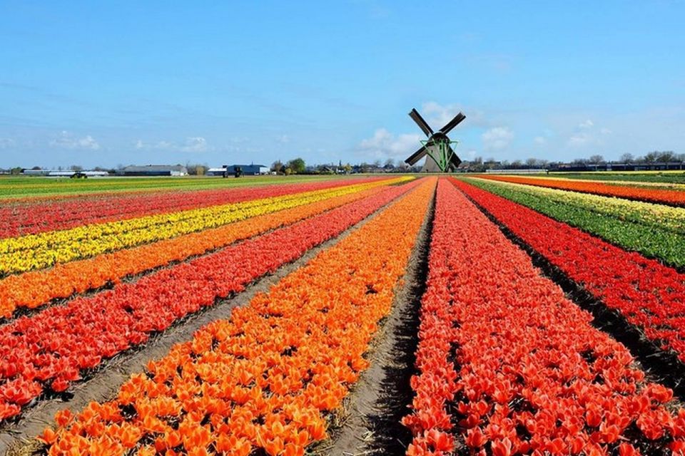 Brussels: Keukenhof, Tulips, and Delft Day Trip - Highlights