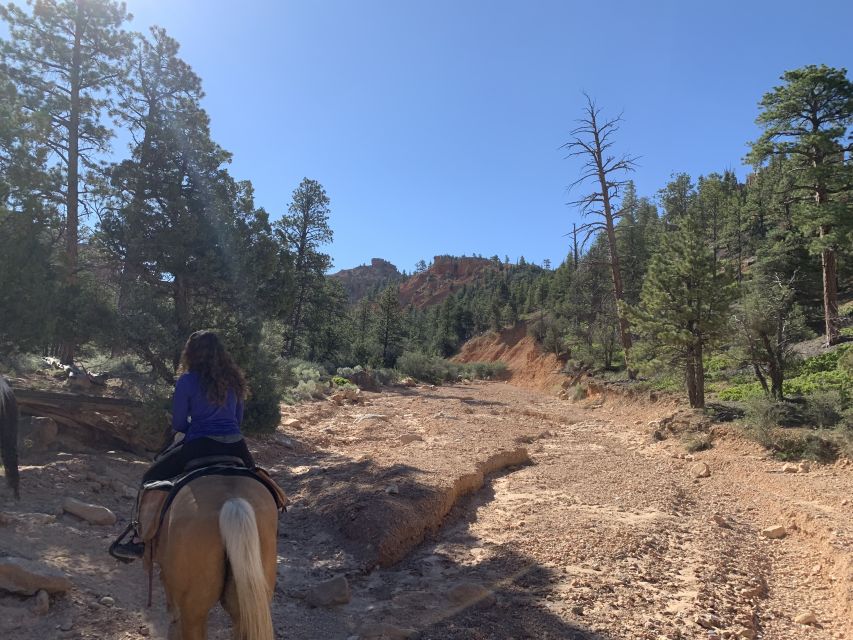 Bryce Canyon City: Horseback Riding Tour in Red Canyon - Customer Reviews