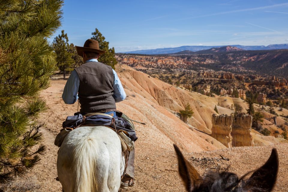 Bryce Canyon: Horseback Ride in the Dixie National Forest - Customer Reviews