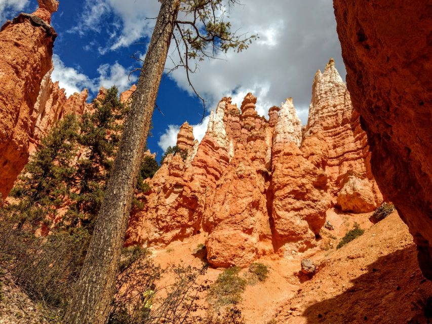 Bryce Canyon National Park Hiking Experience - Participant Details