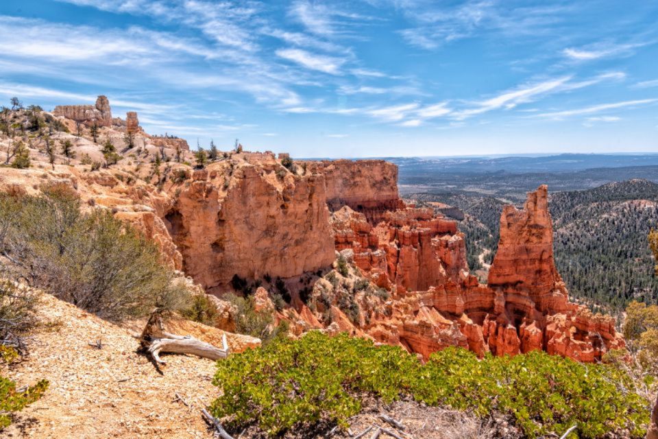 Bryce Canyon National Park: Self-Guided Driving Tour - Wildlife Spotting and Native History
