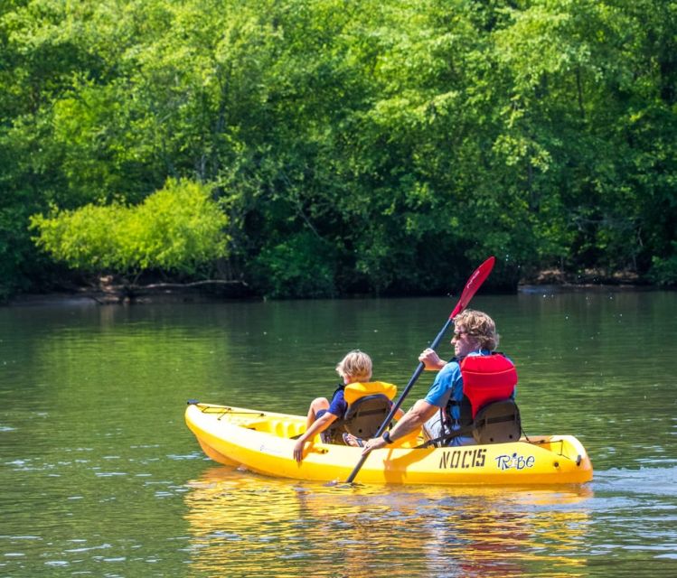 Bryson City: Fontana Lake Guided Kayak Tour - Participant Requirements