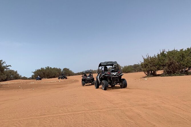 Buggy Adventure Half Day Experience - Customer Feedback