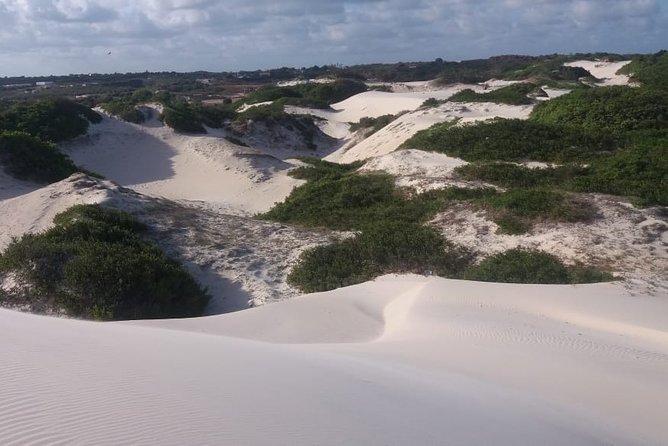 Buggy Tour Along the North Coast (Genipabu) - Legal and Copyright Overview