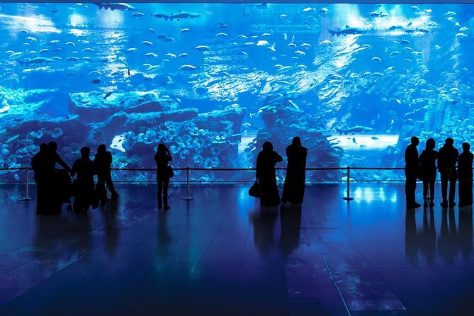 Burj Khalifa At the Top & Dubai Aquarium Combo Entrance Tickets - Visitor Experiences