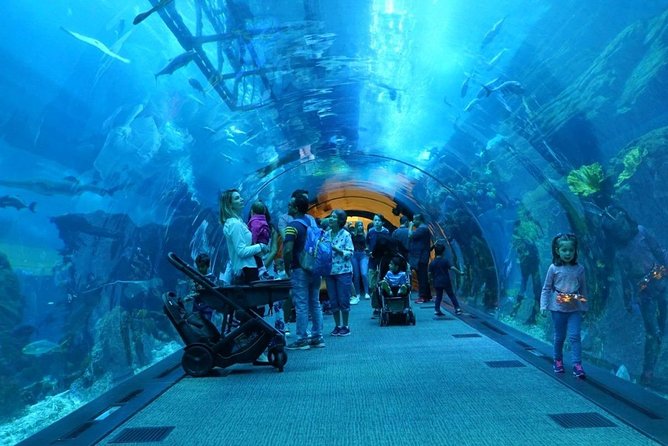 Burj Khalifa, Dubai Aquarium and Underwater Zoo Combo - Additional Information