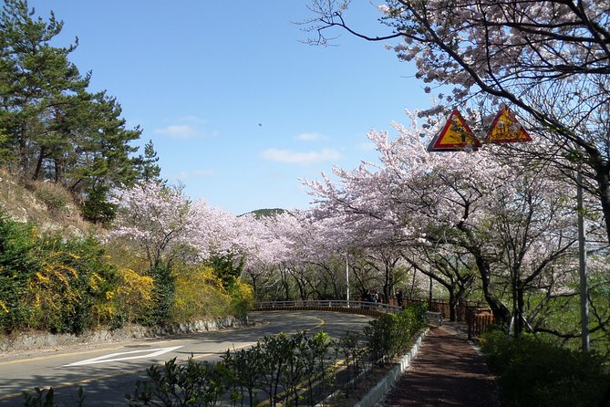 Busan City Tour - Haedong Yonggung Temple And Shopping in Lotte Premium Outlet - Spectacular Views From Gwangan Bridge