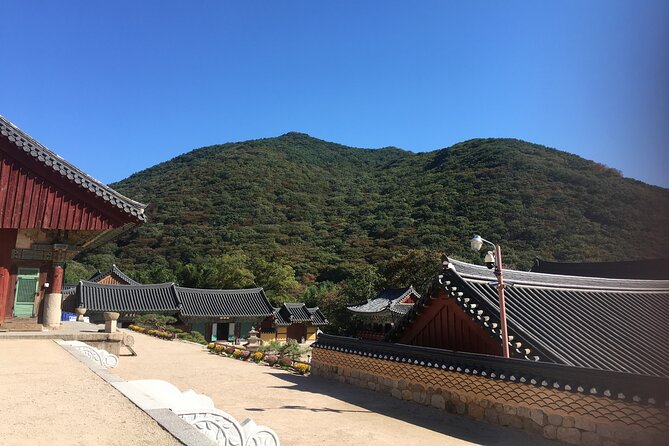 Busan Day Trip Including Gamcheon Culture Village From Seoul by KTX Train - Local Cuisine Tastings