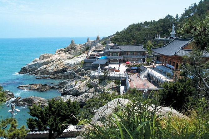 Busan Highlights Private 2-Day Tour With Local Guide - Local Guide Experience