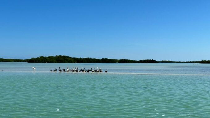 Cabo Catoche Snorkel And Fishing - Location Information