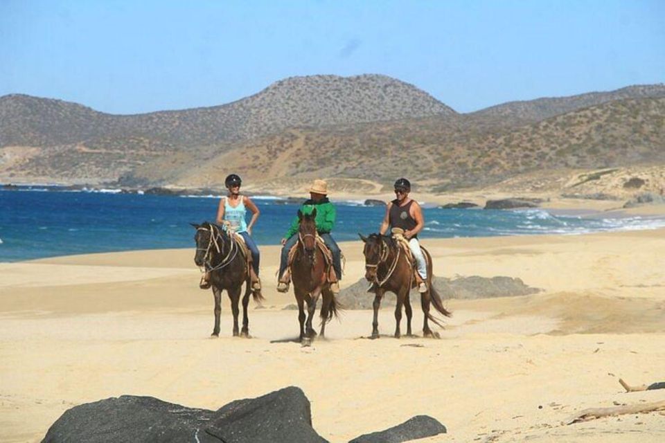 Cabo: Horseback Riding On The Beach and ATV Combo Tour - No Port, No Worries Guarantee