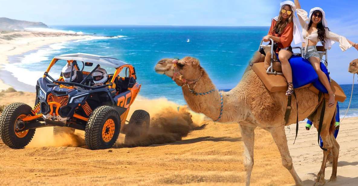 Cabo San Lucas: Camel Ride & Off-Road UTV Combo Adventure - Reviews and Ratings